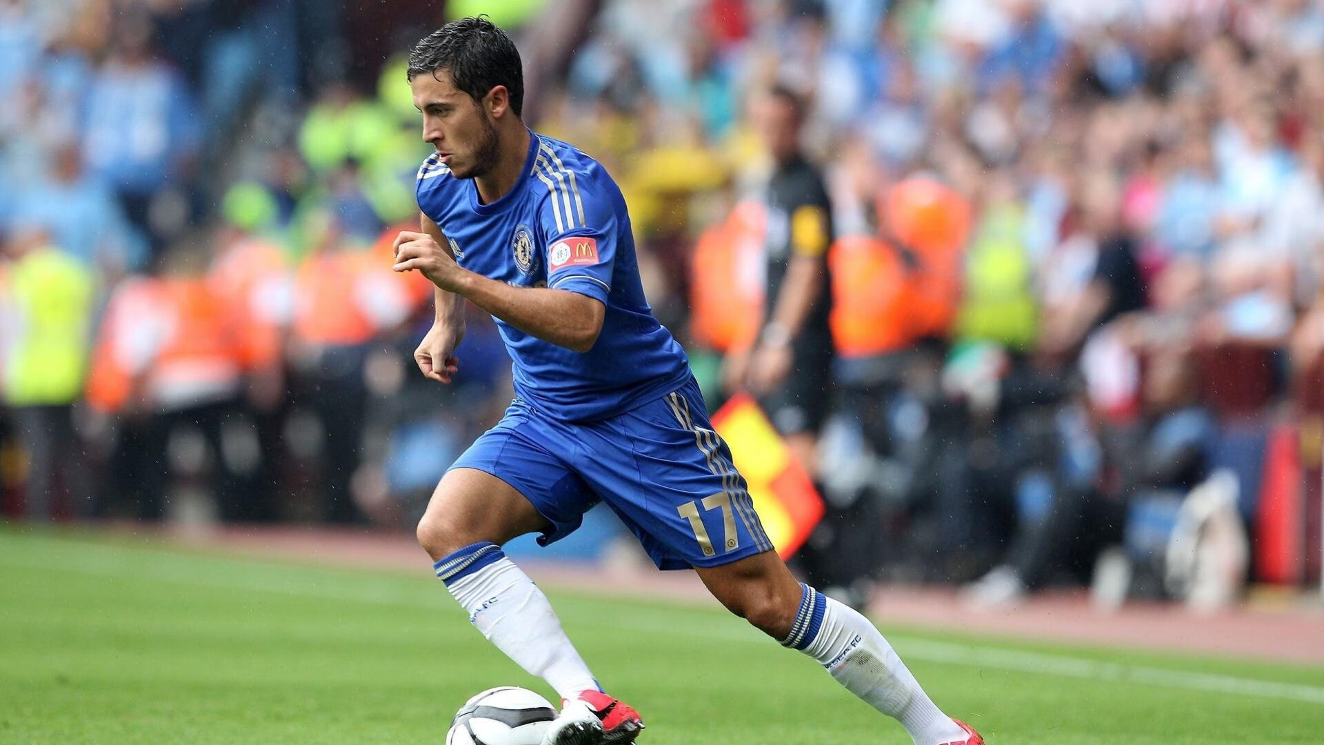 美国马术协会开展马匹福利宣传活动，提升公众意识。，美国马术协会polo