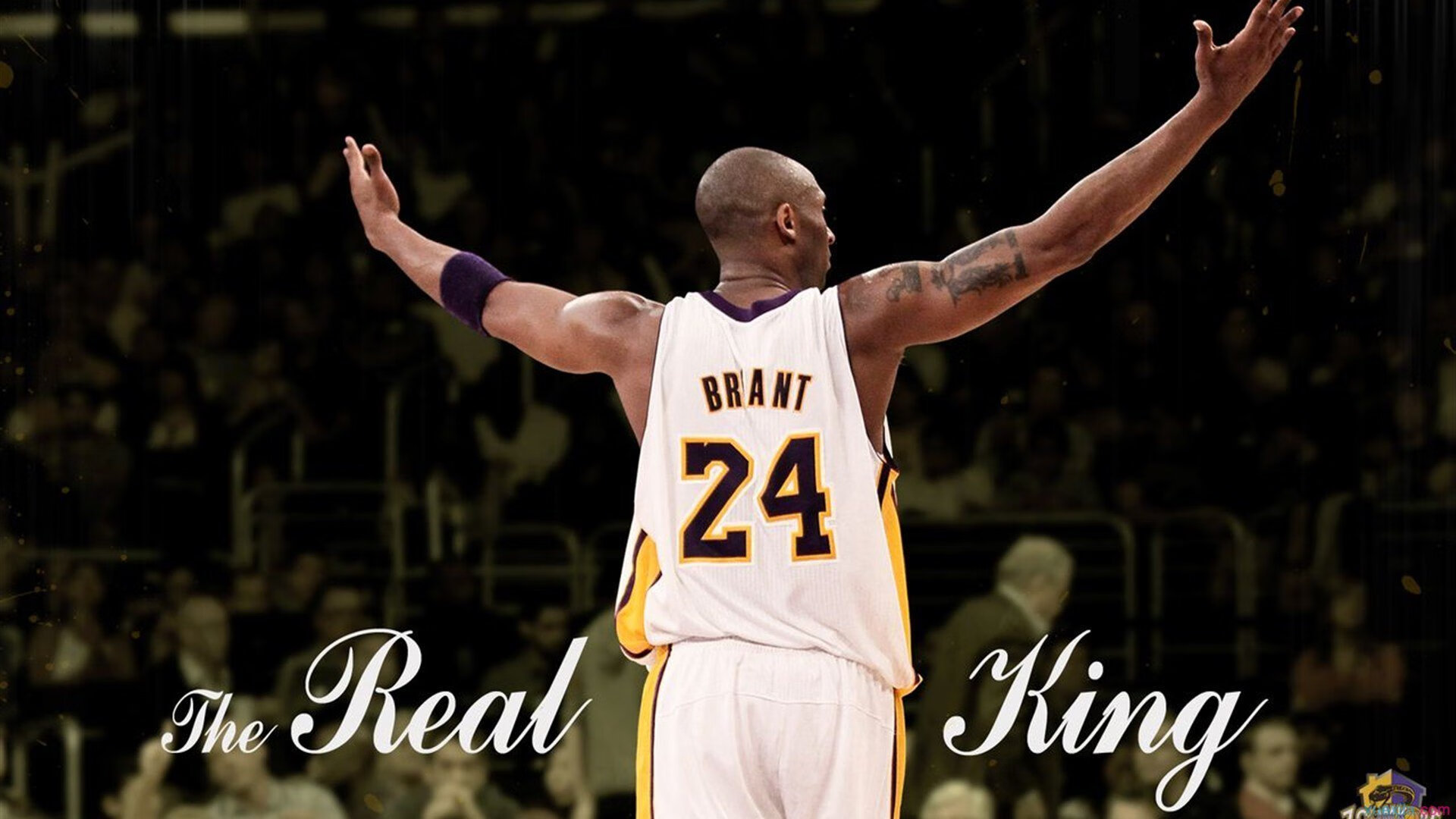 爱游戏中国官方网站平台-场馆建设注重环保与智能，我国场馆智能化系统的建设目标